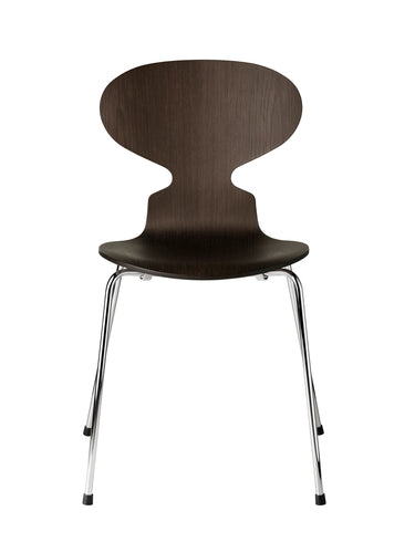 Ant 4 Legs, Veneer Shell