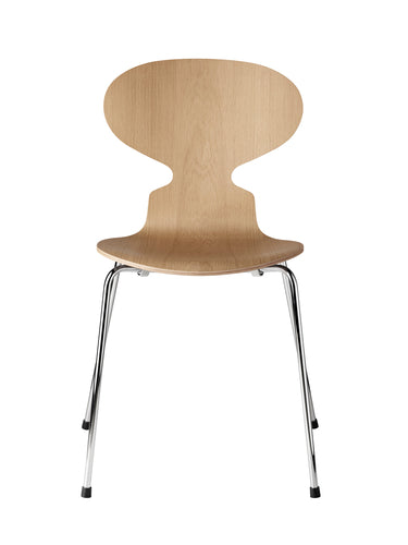 Ant 4 Legs, Veneer Shell