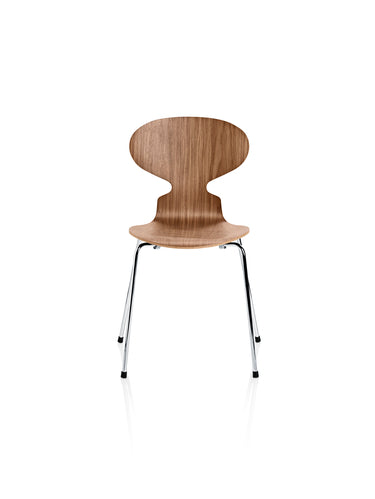 Ant 4 Legs, Veneer Shell