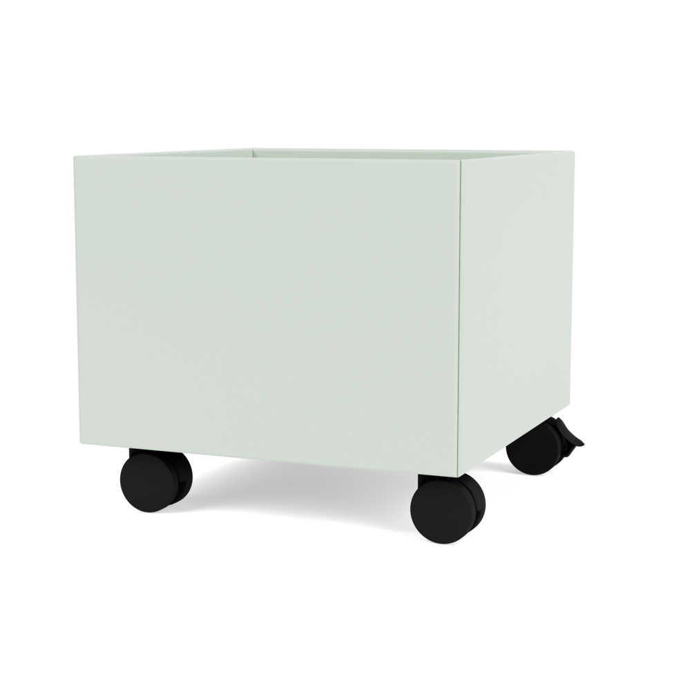 Montana Mini Play