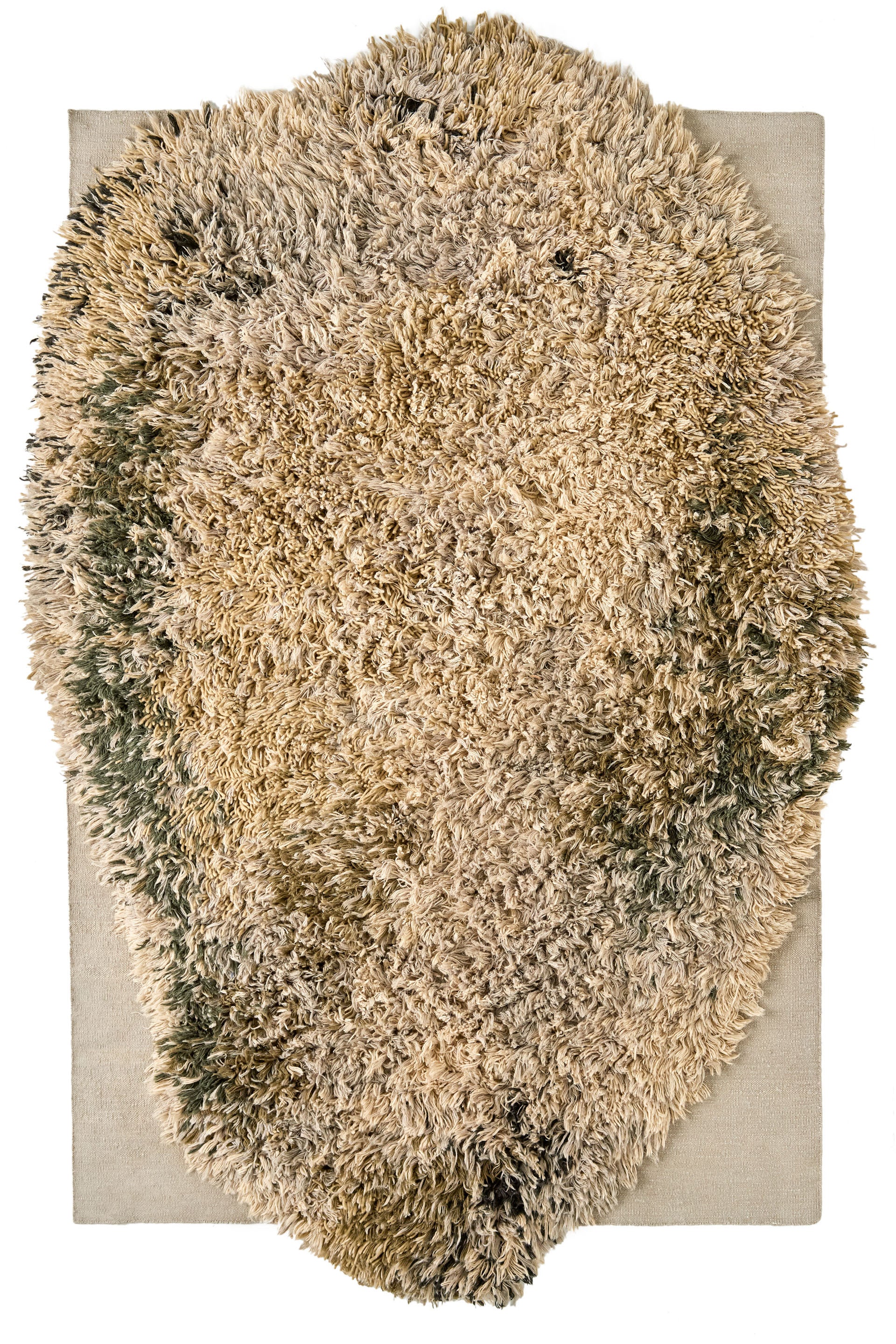 Alga Grey 263x394cm