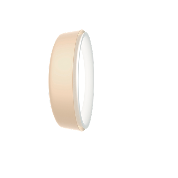 LP Grand Wall Light