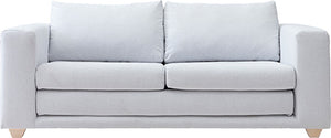 Victor 2.5 seater sofa/sofa bed