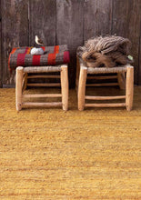 Earth Khaki Rug - 200x300cm