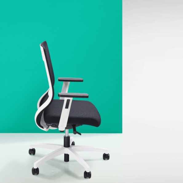 Benuna Task Chair with Arms