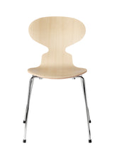Ant  4 Legs, Veneer Shell