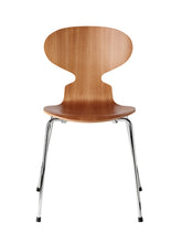 Ant  4 Legs, Veneer Shell