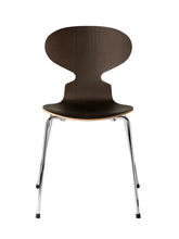Ant  4 Legs, Veneer Shell