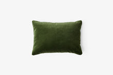Develius Pillow, Small