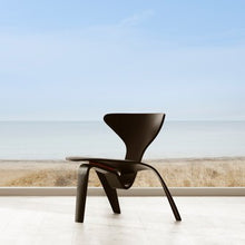 FH PK0 A Black Coloured Ash