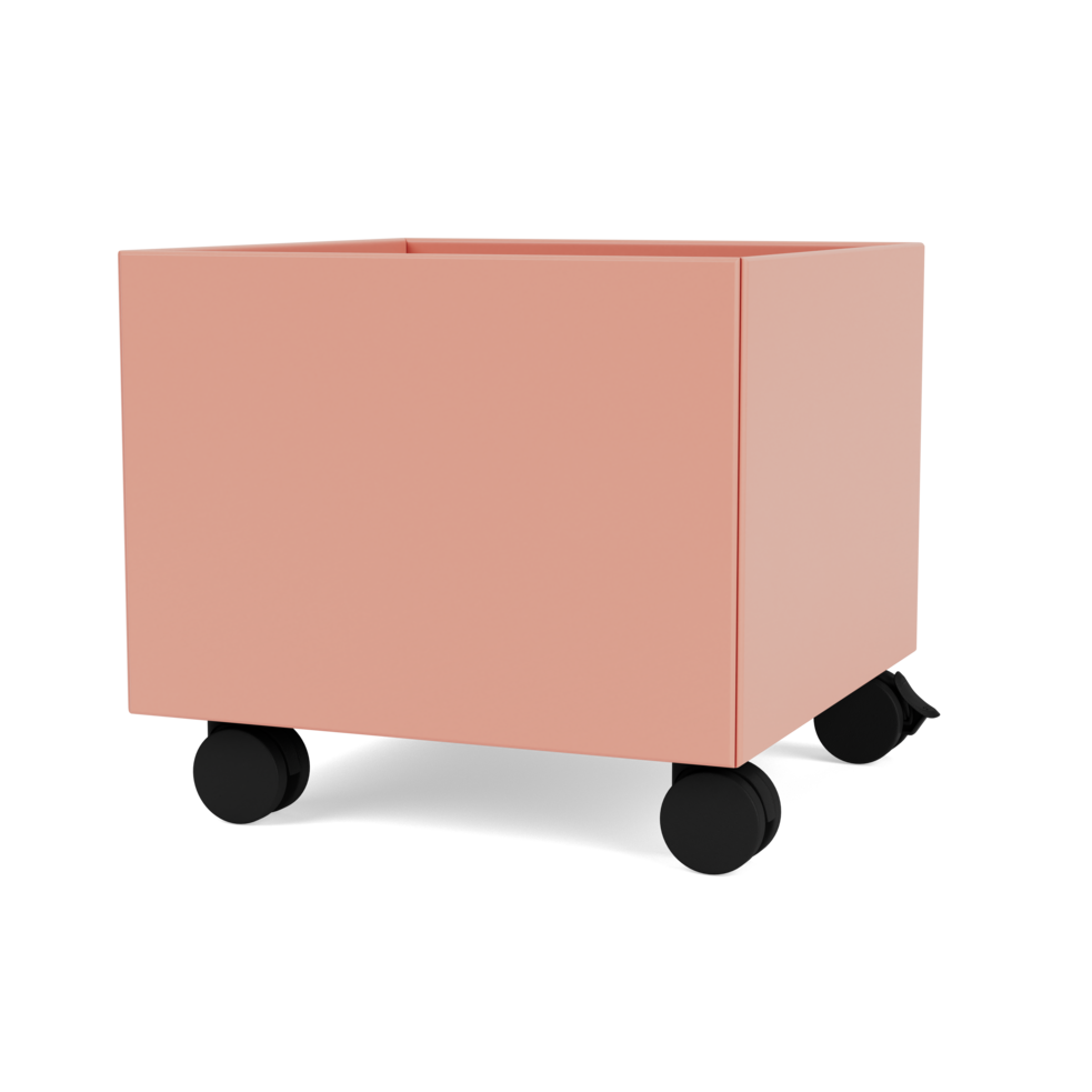 Montana Mini Play