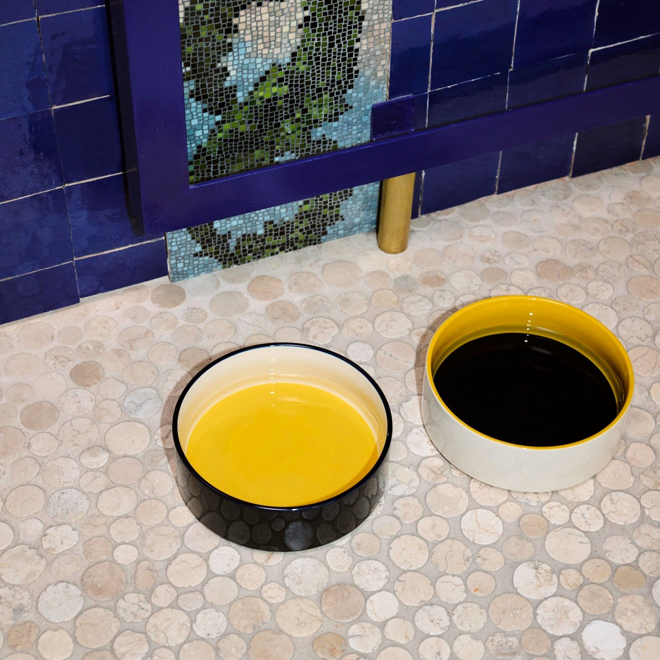 Dogs Bowl Large- Blue, Yellow