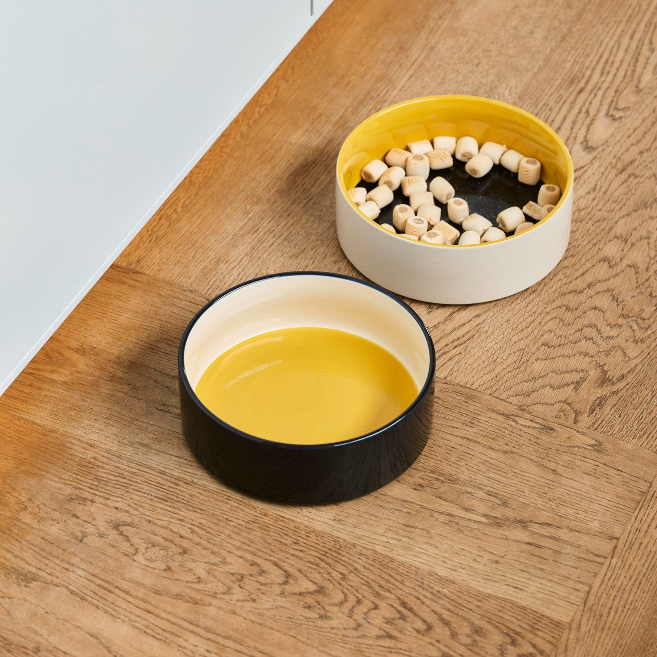 Dogs Bowl Large- Blue, Yellow