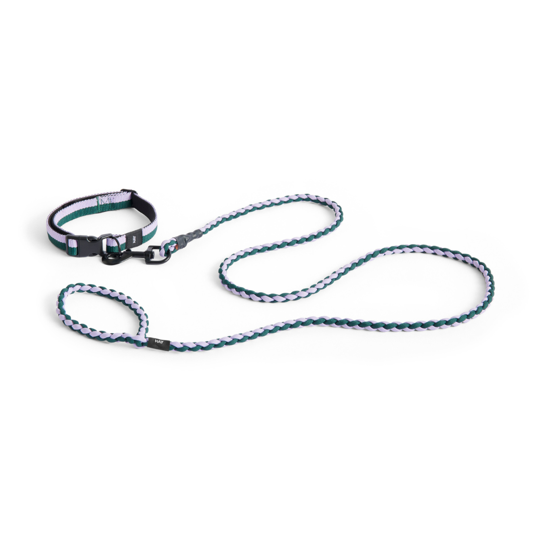 Dogs Leash, Braided - Lavender, Green