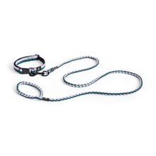 Dogs Leash, Braided - Lavender, Green