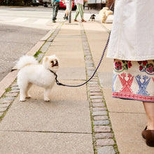 Dogs Leash, Braided - Lavender, Green