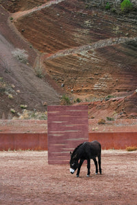 Colorado Clay 250x350 cm