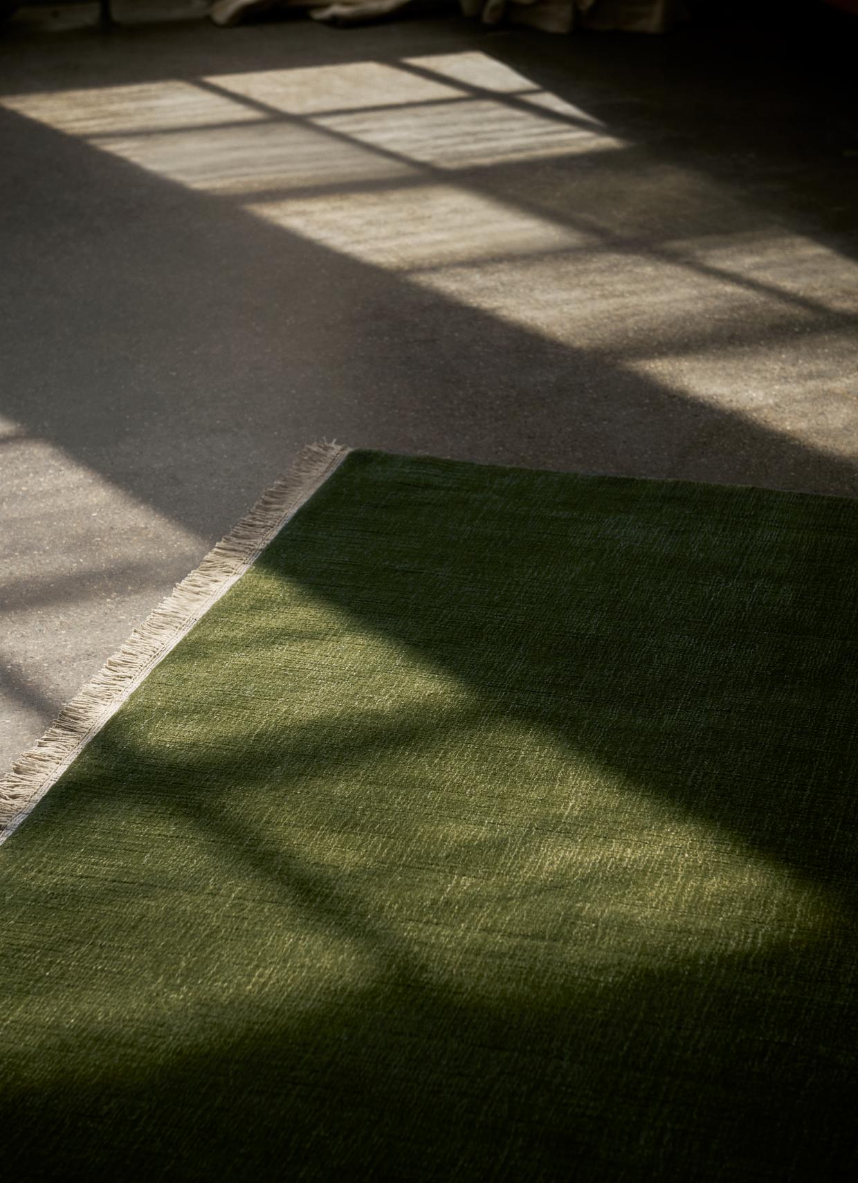 The Moor Rug AP18 - 170 x 240 cm