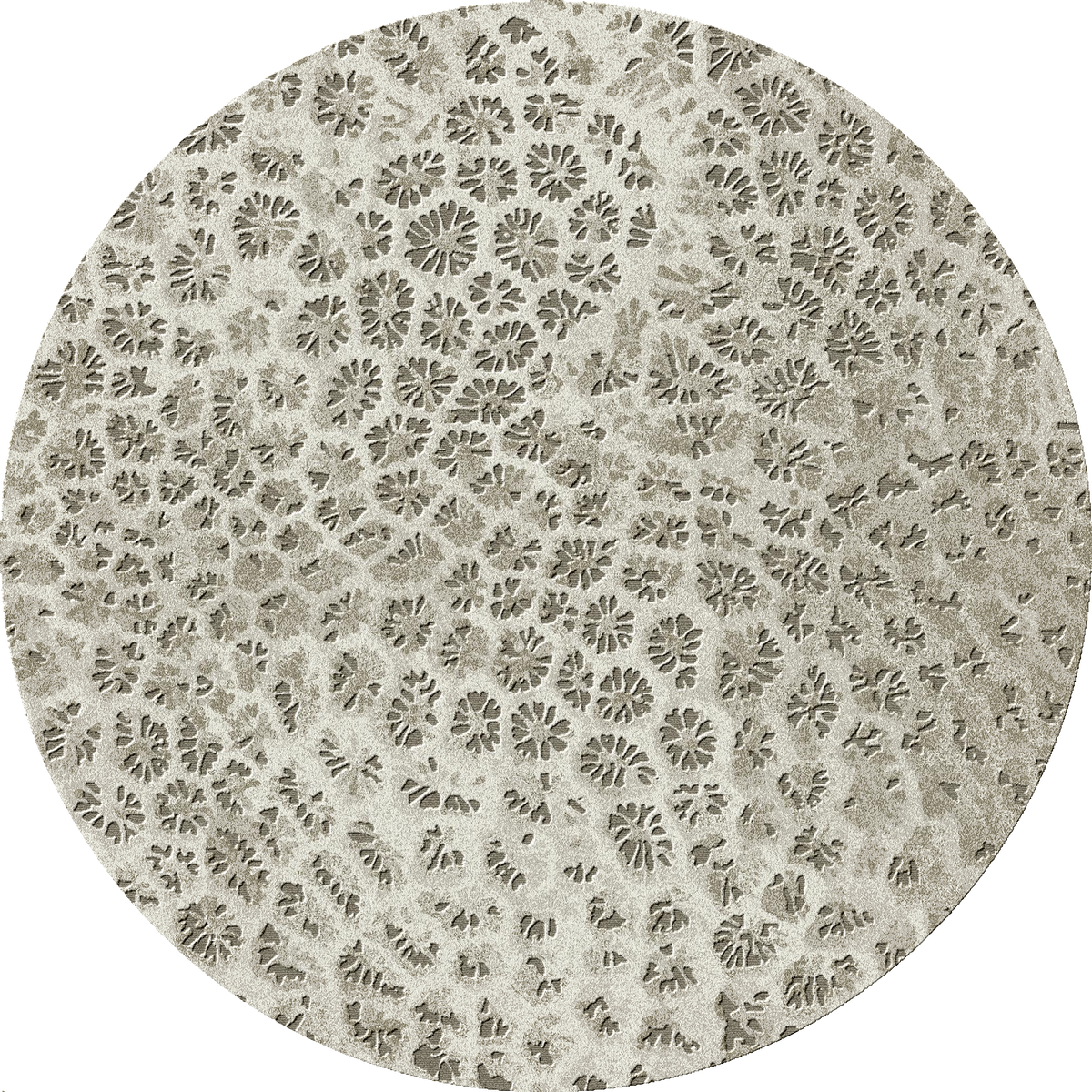Reef 250cm Diameter