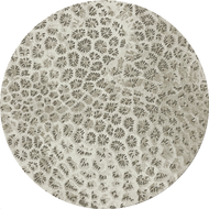 Reef 250cm Diameter