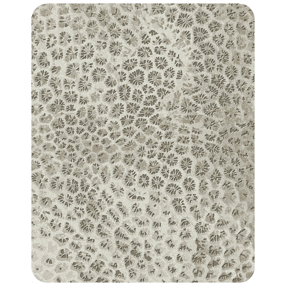 Reef 240cm x 300cm