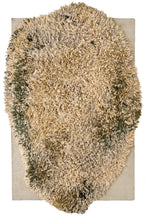Alga Grey 263x394cm