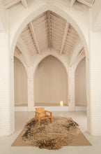 Alga Rug Ochre - 316x450cm