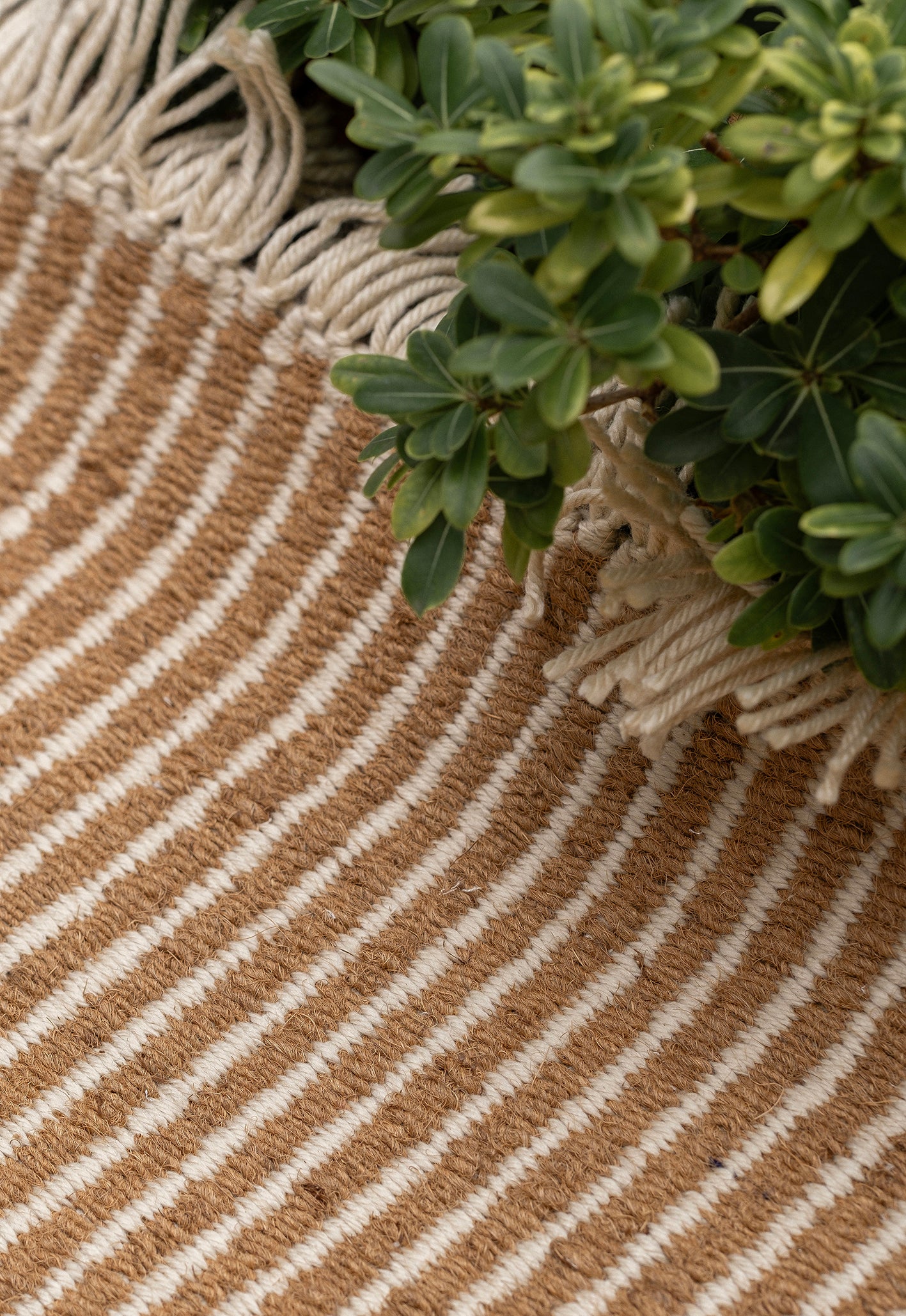 Garden Natural 200x300